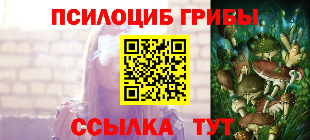Галлюциногенные грибы Cubensis  Вход с VPN  Кировск 
